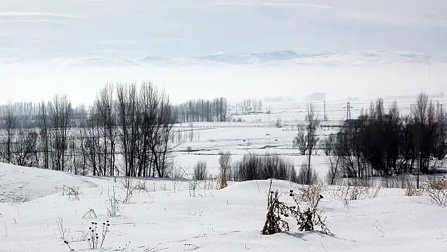 Ağrı Geceyi Eksi 21 Derecede Geçirdi