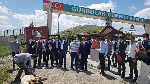 DAİB yönetimi Gürbulak'ta kurban kesip dua etti