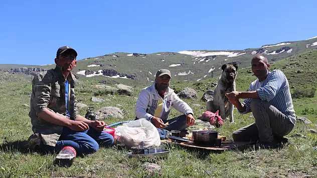 Bin bir zorlukla üretmeye devam ediyorlar