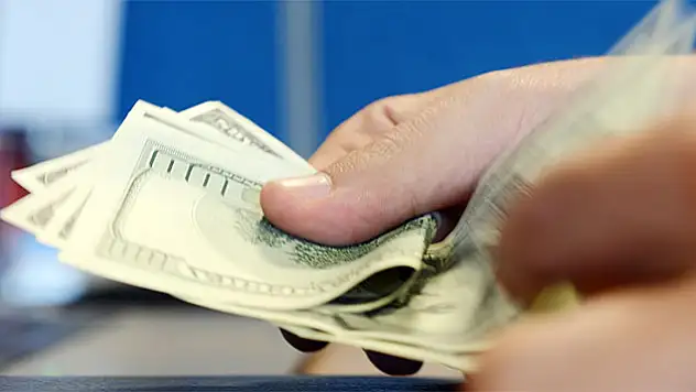 Dolar yine yükseldi