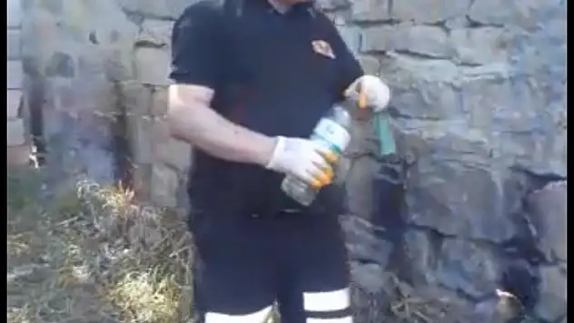 Ağrı'da bir eve giren yılan itfaiye ekipleri tarafından çıkarıldı