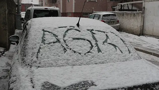 Ağrı'ya lapa lapa kar yağıyor