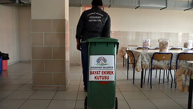 Doğubayazıt'ta sokak hayvanları unutulmadı