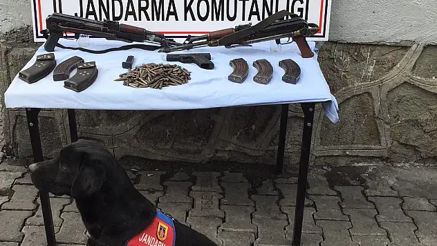 Ağrı'da kaçak silah operasyonu