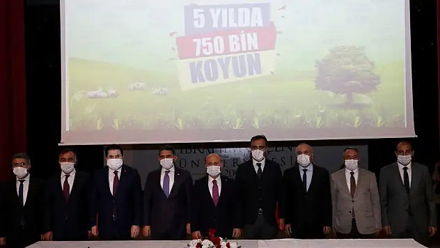 Ağrı'da çiftçilere 750 bin koyun dağıtılacak