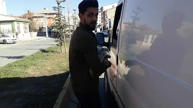Ağrı'da çarptığı kediyi kucağına alarak veterinere götürdü