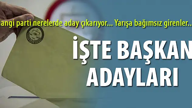 Ağrı merkez ve ilçeleri kesin aday listesi