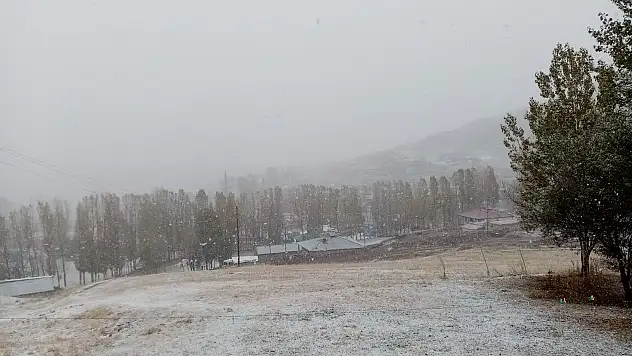 Ağrı'ya yılın ilk karı yağdı