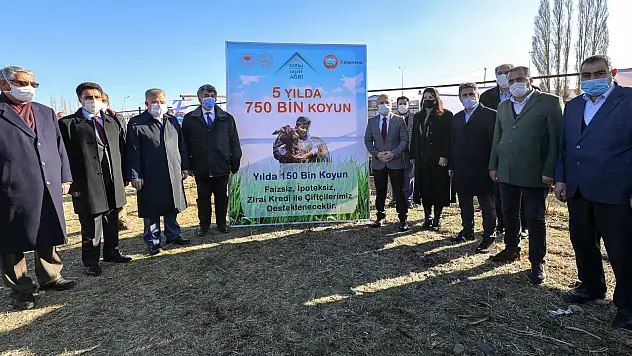 Ağrı'da 5 Yılda 750 bin koyun projesi kapsamında çiftçiler ilk koyunlarını teslim almaya başladı