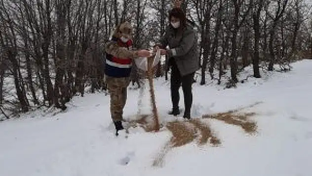 Tunceli'de doğaya keklik ve yem bırakıldı