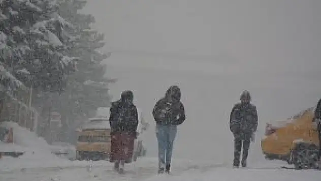 Hakkari'de 66 yerleşim yerinin yolu ulaşıma kapandı