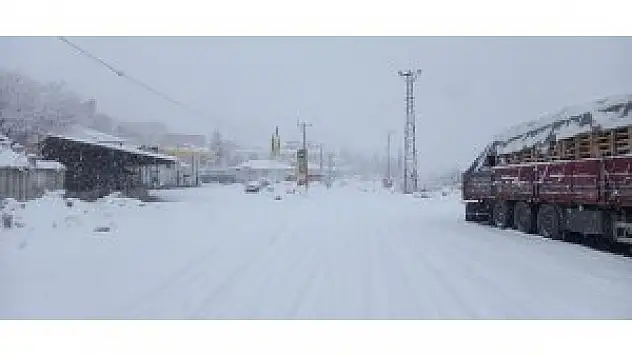 Tunceli'de kar bastırdı, 160 köy yolu kapandı