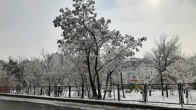 Ağrı'da soğuk havalar kartpostallık görüntüler ortaya çıkardı