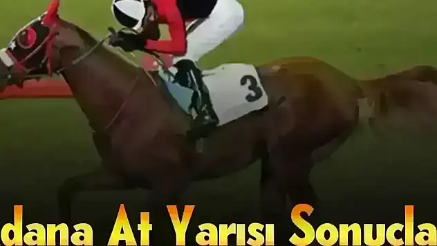Adana 11 Kasım 2025 Salı At Yarışı Sonuçları!