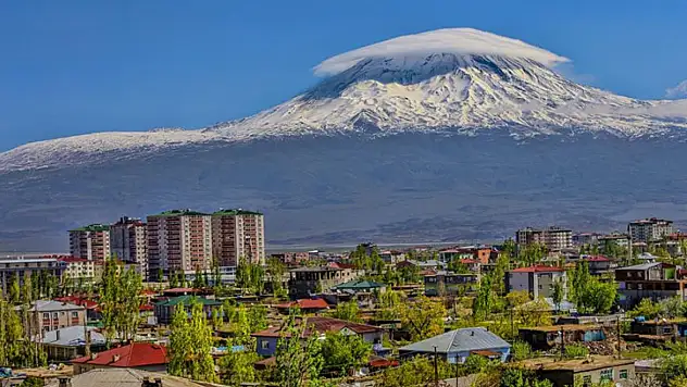 Ağrı'da 138 milyonluk dev satış