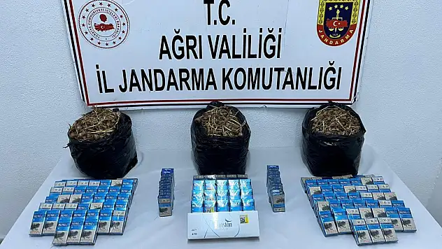 Ağrı'da 15 kilogram safran tohumu ele geçirildi