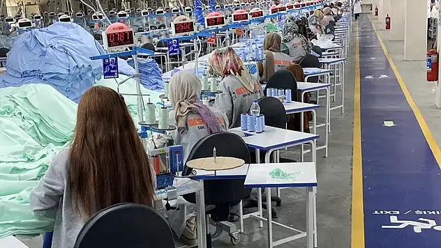Ağrı'da 150 kişiye iş kapısı! Personel alımı yapılacak