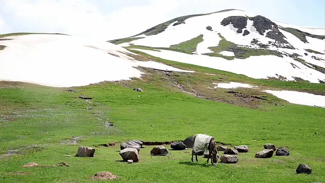 Ağrı'da 3 bin rakımlı zirvelerde yaz ve kış aynı anda yaşanıyor