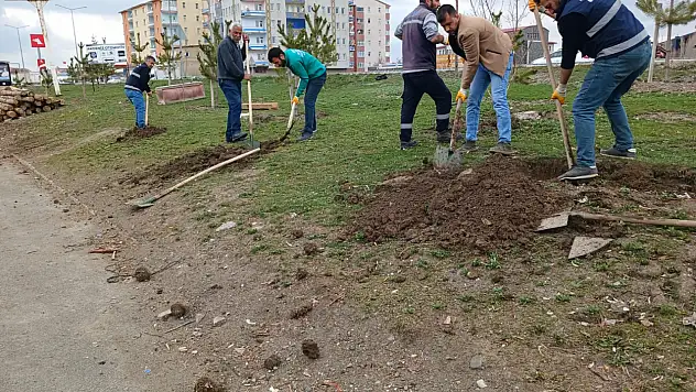 Ağrı'da ağaçlandırma çalışmaları başladı