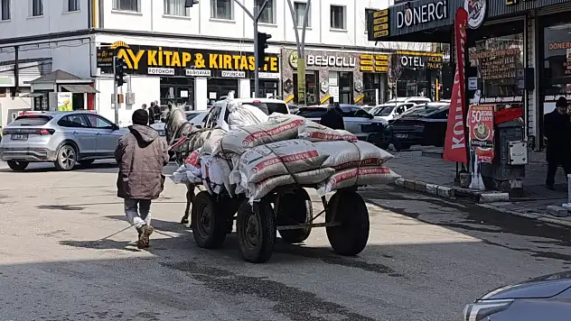 Ağrı'da at arabaları baharla birlikte yeniden yollarda... Zorlu mesai başladı!