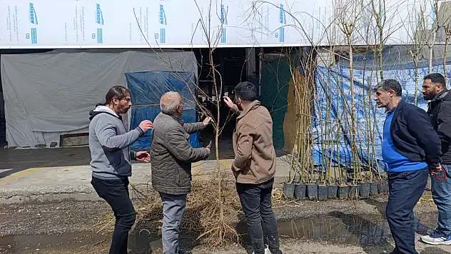 Ağrı'da bahar geldi fidan satışlar arttı
