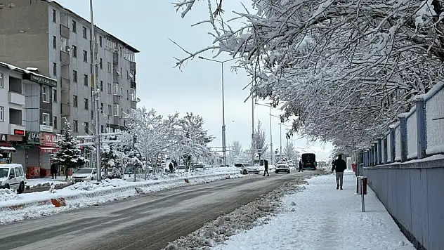 Ağrı'da bahar havası yerini yeniden kara bıraktı