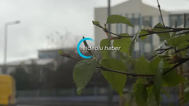 Ağrı'da bahar yağmurları etkisini sürdürüyor