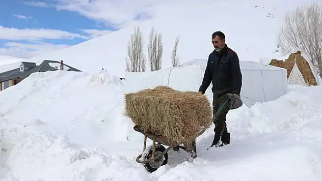 Ağrı'da bahar yerine kış! Köylerde kar 3 metreyi aştı