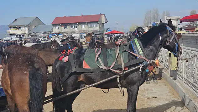 Ağrı'da baharın gelişiyle hayvan pazarında at satışları yeniden yükselişe geçti