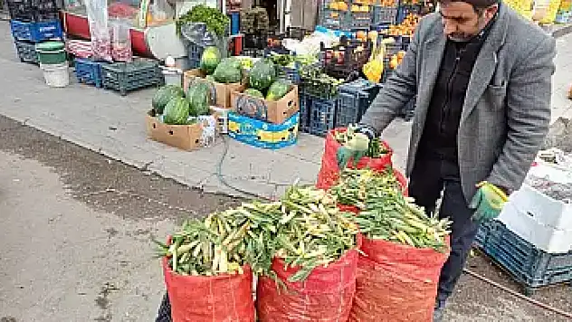 Ağrı'da baharın lezzeti çiriş otu satışa çıktı