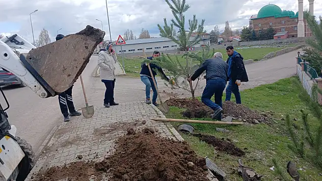 Ağrı'da baharla birlikte ağaçlandırma seferberliği başladı