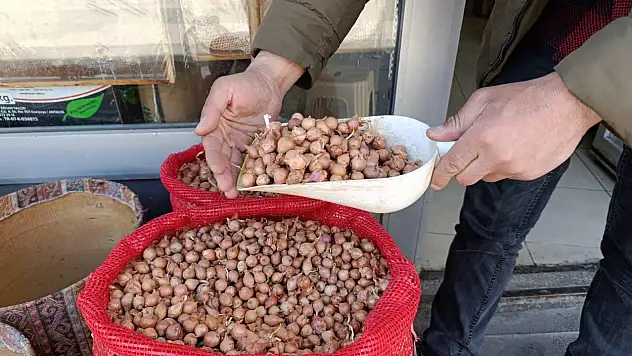 Ağrı'da baharla birlikte arpaçık soğanı tezgahlardaki yerini aldı