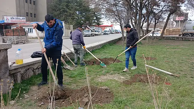 Ağrı'da bakım ve onarım çalışmaları aralıksız sürüyor