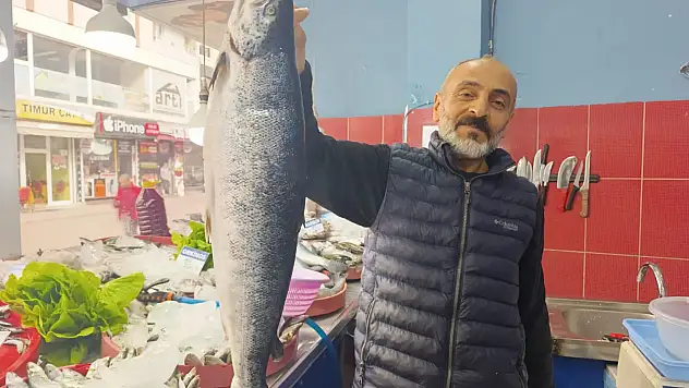 Ağrı'da balık sezonu açıldı! Tezgâhlarda hareketlilik başladı