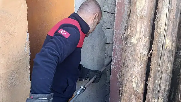 Ağrı'da bayram günü köpek kurtarma seferberliği