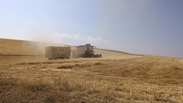 Ağrılı çiftçinin beklediği gün geldi! Çiftçinin bir yıllık emeği tarladan kalkıyor