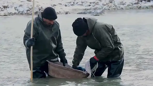 Ağrı'da buz gibi suda balık avı