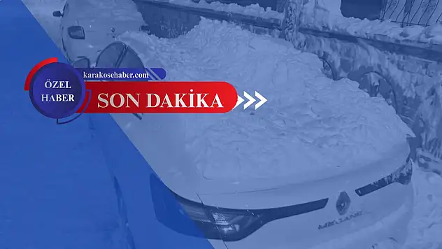 Ağrı'da çatılardan düşen kar araçları vurdu