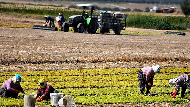 Ağrı'da çiftçilere dolandırıcılık alarmı
