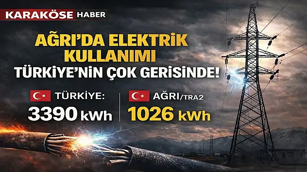 Ağrı'da elektrik kullanımı ülkenin gerisinde kaldı