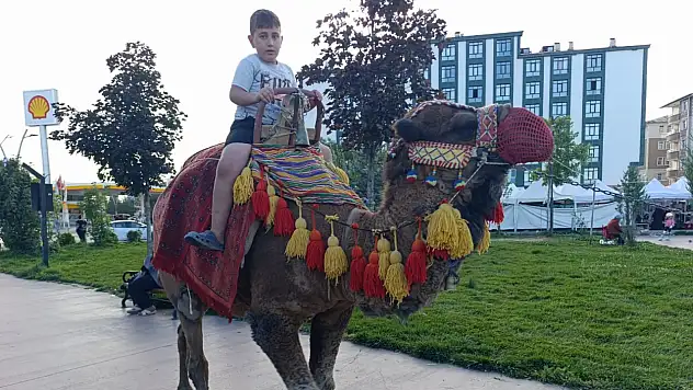 Ağrı'da gören bir daha baktı! Millet Bahçesi'ne deve geldi