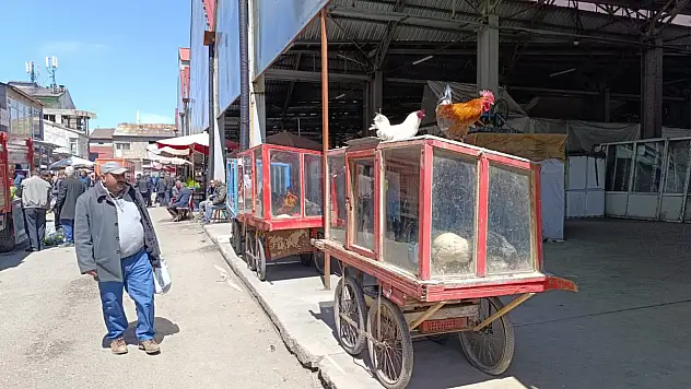 Ağrı'da güneşli günler canlı tavuk pazarını hareketlendirdi