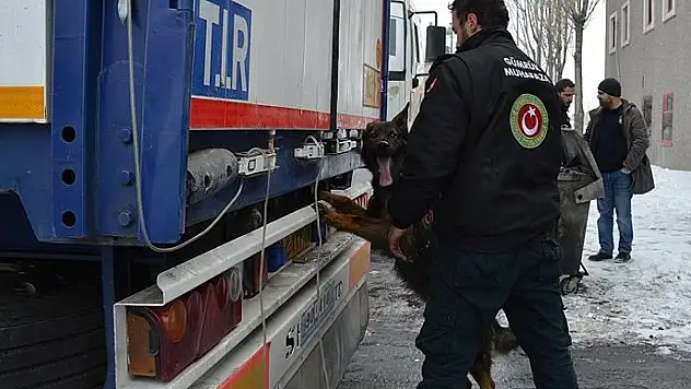 Ağrı'da güvenlik güçlerinden yoğun mesai