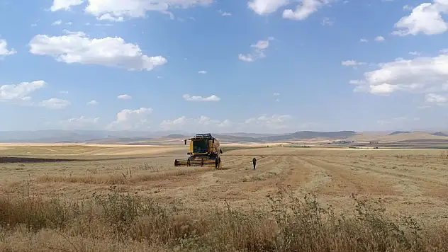 Ağrı'da hasat mesaisi başladı: Bu kurallara uymayan hasat yapamayacak!