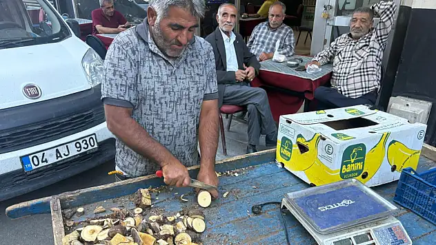 Ağrı'da hastaların peşine düştüğü kök dağlardan toplanıyor