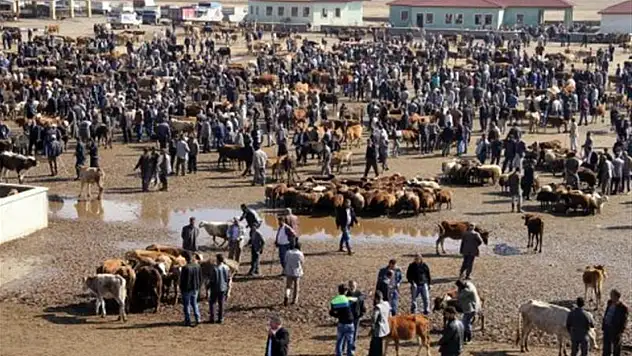 Ağrı'da Hayvan Pazarı yeniden açılıyor! Bakan Yumaklı tarih verdi