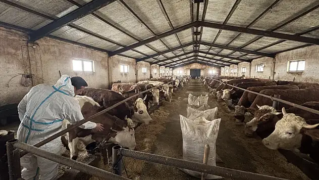 Ağrı'da hibe desteğiyle kurulan işletmeler büyüyor