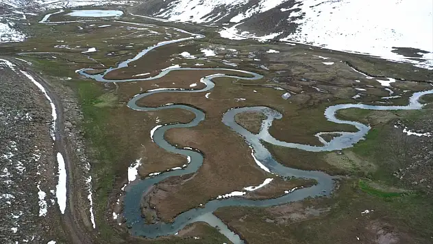 Ağrı'da iki mevsim bir arada: Dağda kar, ovada bahar