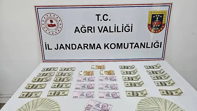 Ağrı'da jandarmadan mali suç operasyonu: Şüpheli gözaltına alındı