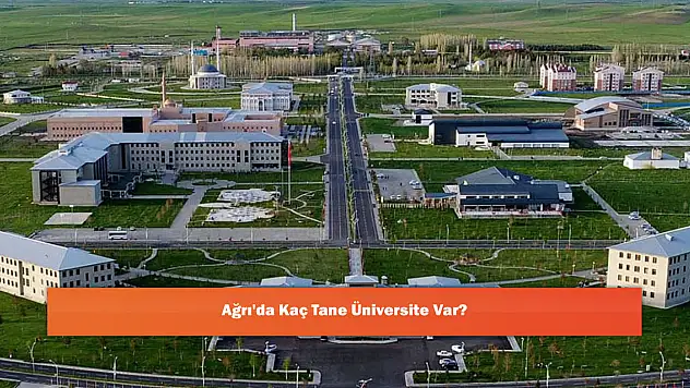 Ağrı'da Kaç Tane Üniversite Var?